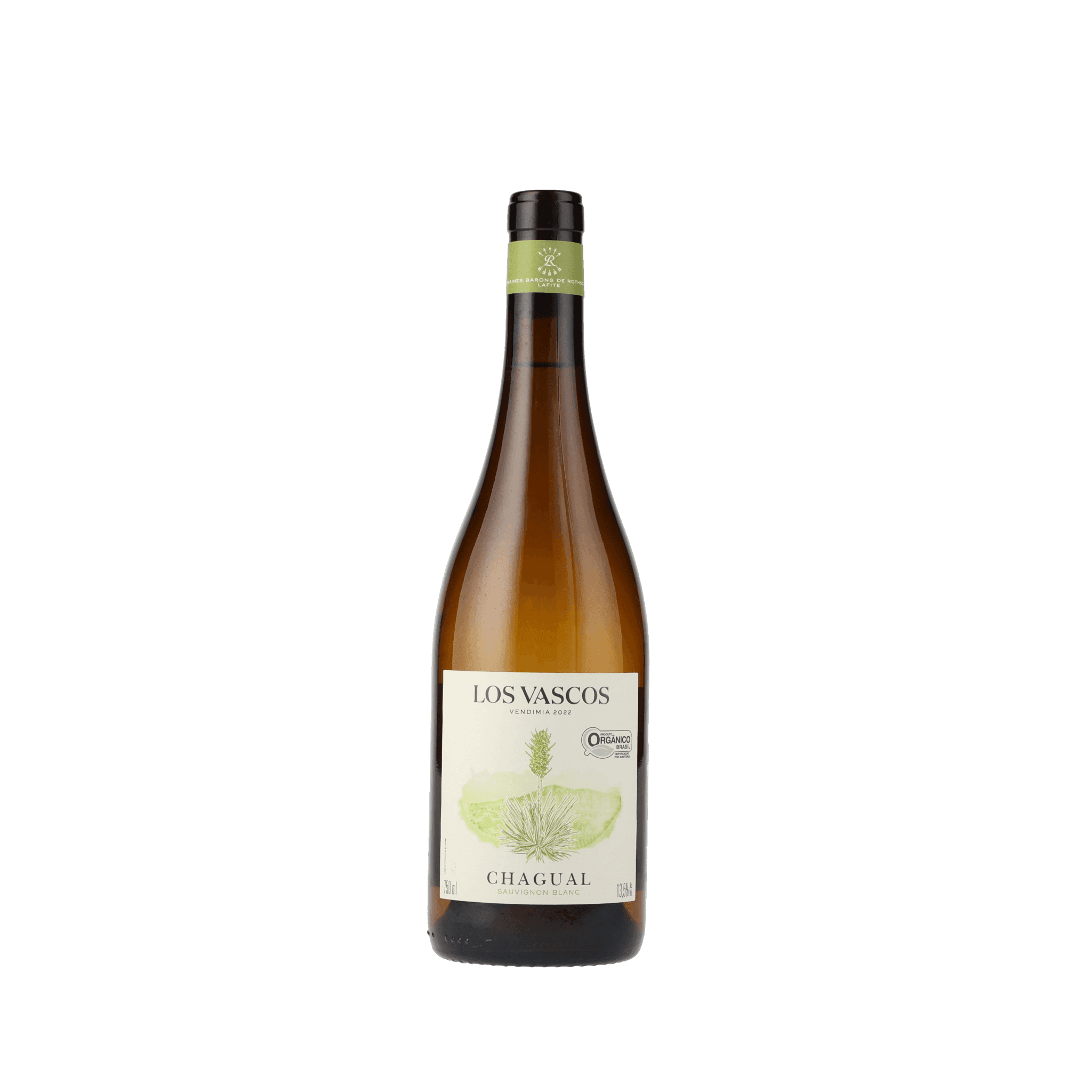 Los Vascos Chagual Sauvignon Blanc Orgânico
